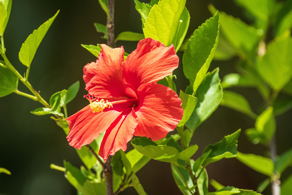 S00 A3101 Photography Art | Captured Adventure Photography