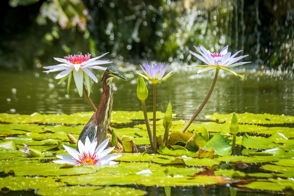 S00 A3011 Photography Art | Captured Adventure Photography