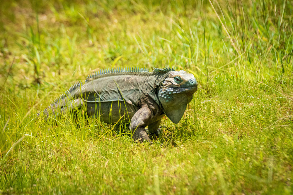 S00 A3056 Photography Art | Captured Adventure Photography