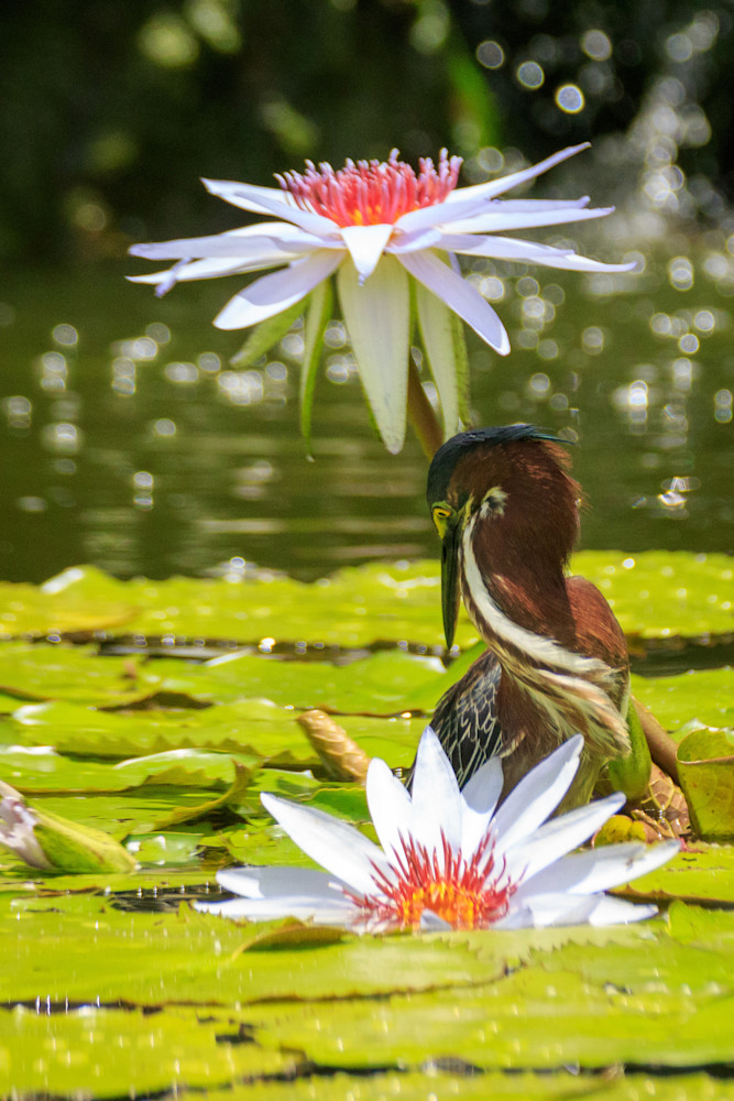 S00 A3025 Photography Art | Captured Adventure Photography