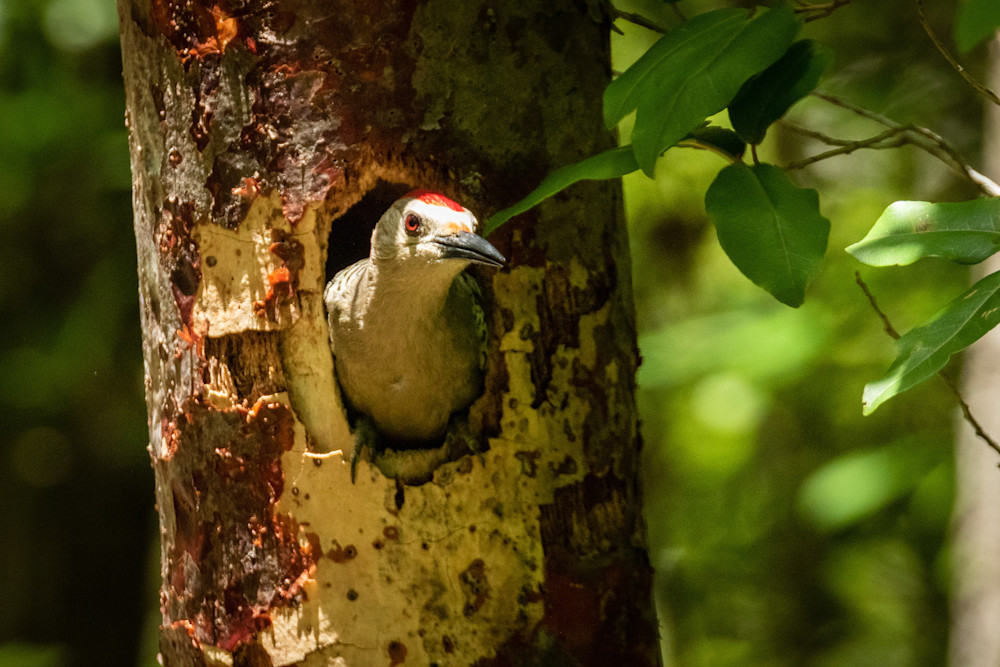 S00 A3391 Photography Art | Captured Adventure Photography