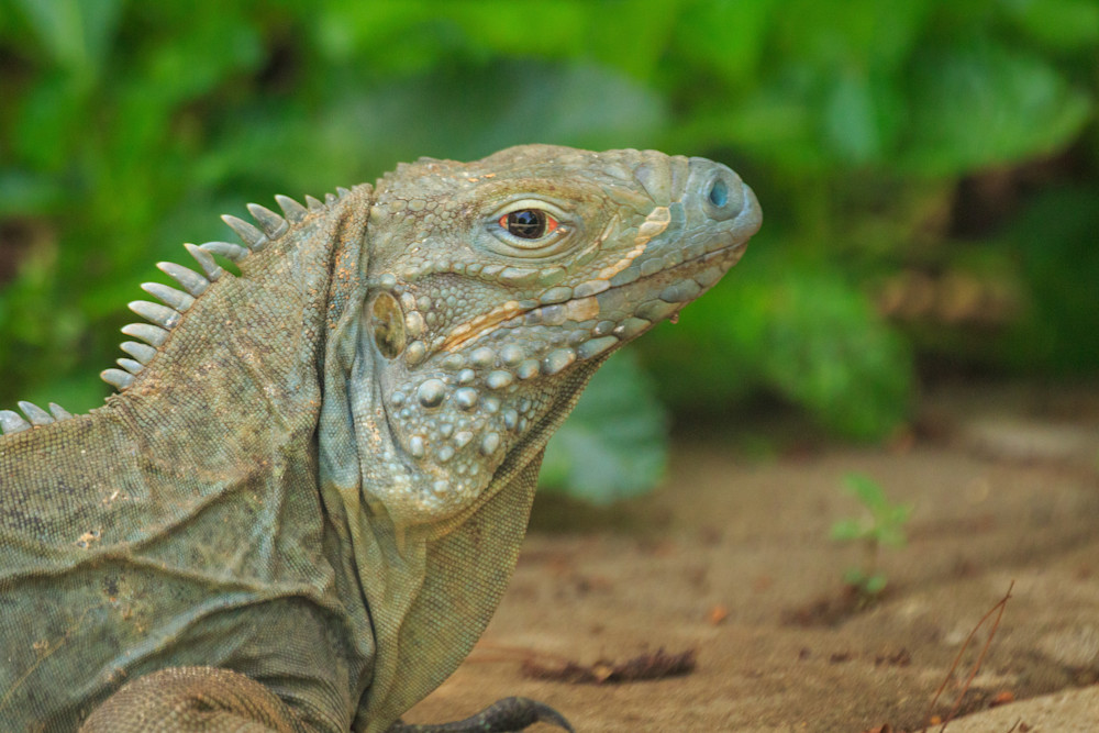 S00 A2732 Photography Art | Captured Adventure Photography