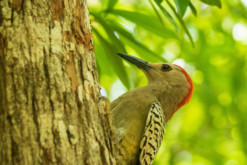 S00 A3406 Photography Art | Captured Adventure Photography