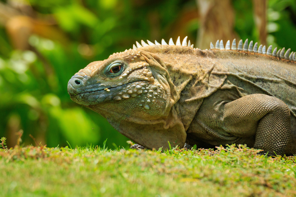 S00 A2844 Photography Art | Captured Adventure Photography