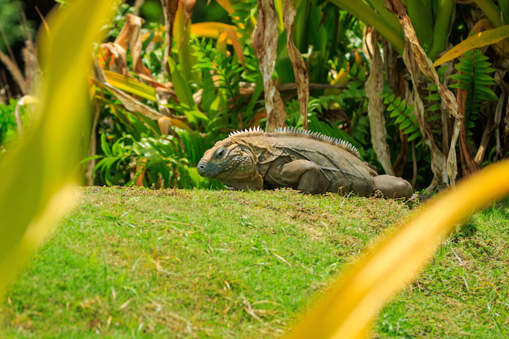 S00 A2838 Photography Art | Captured Adventure Photography