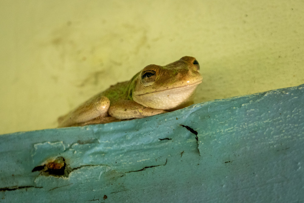 S00 A3129 Photography Art | Captured Adventure Photography