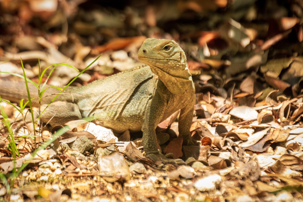 S00 A3379 Photography Art | Captured Adventure Photography