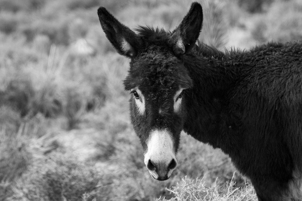 S00 A1307 Photography Art | Captured Adventure Photography