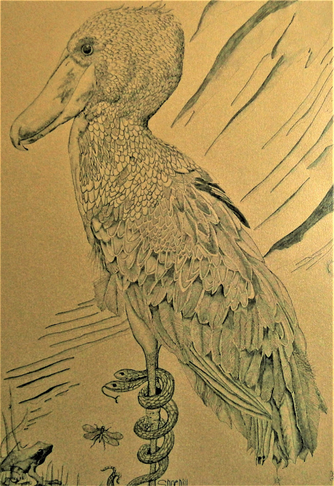 Shoebill Art | Fine Art by Balkishan Jhumat