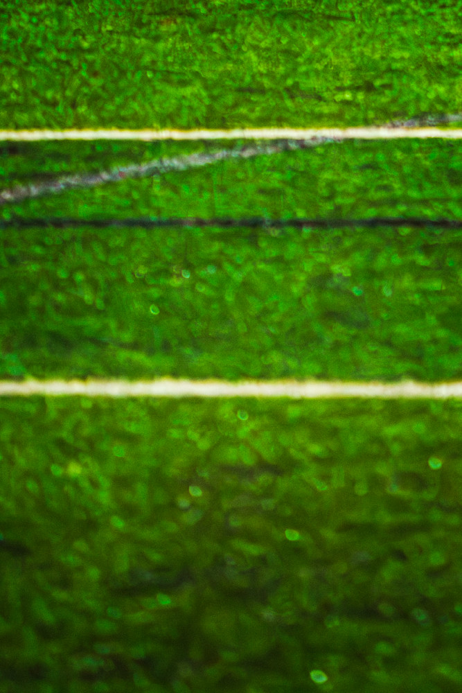 Dsc6621 Copy Photography Art | Bryce Giesmann Fine Arts