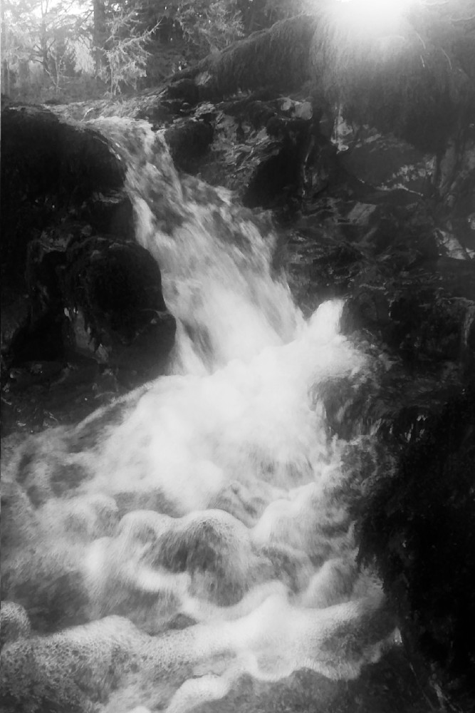 Luminous Resolve Photography Art | Janie Lynn Fine Art 