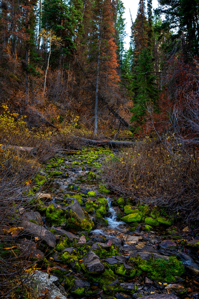 Dsc8322 Pano Copy Photography Art | Bryce Giesmann Fine Arts
