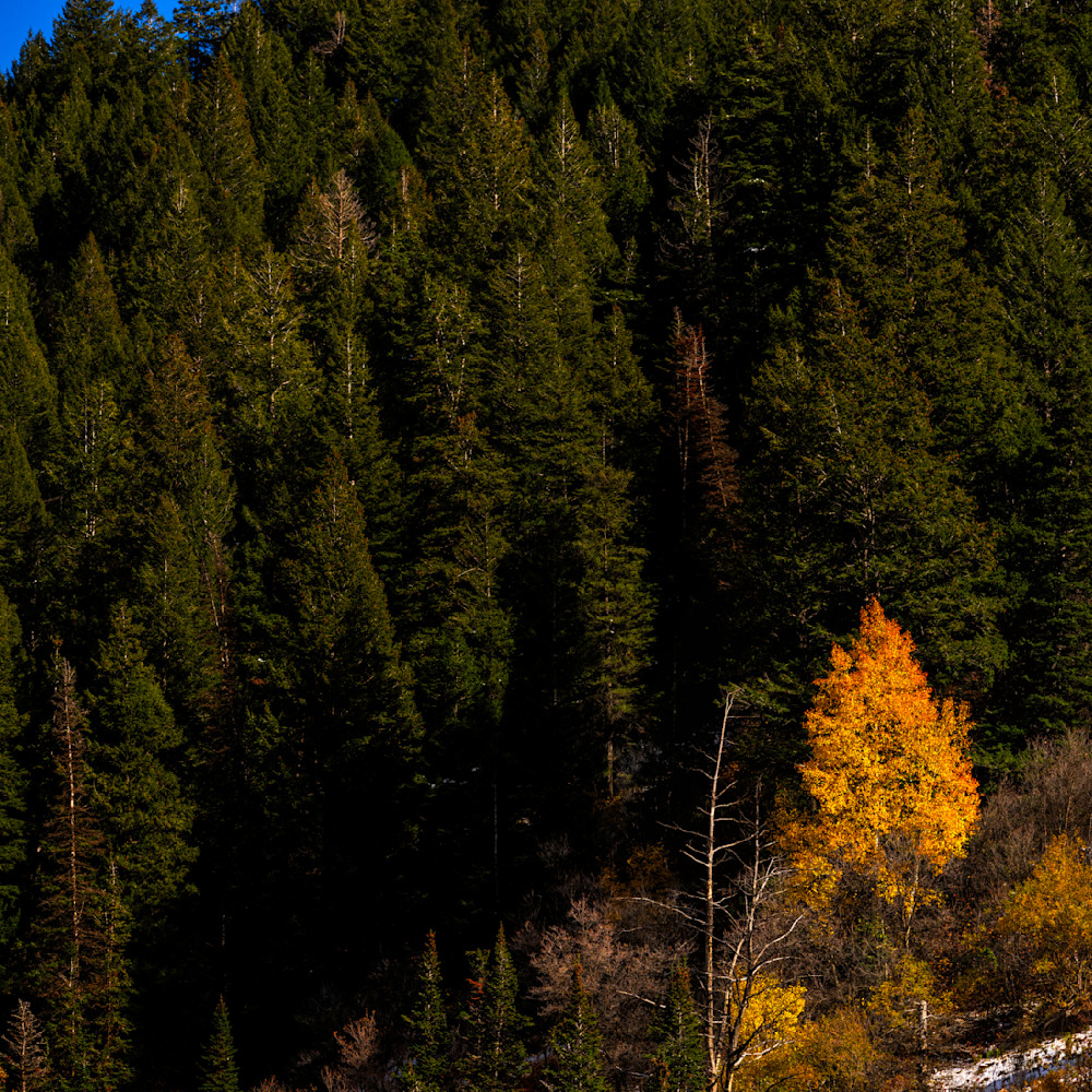 Dsc7733 Pano Copy Photography Art | Bryce Giesmann Fine Arts