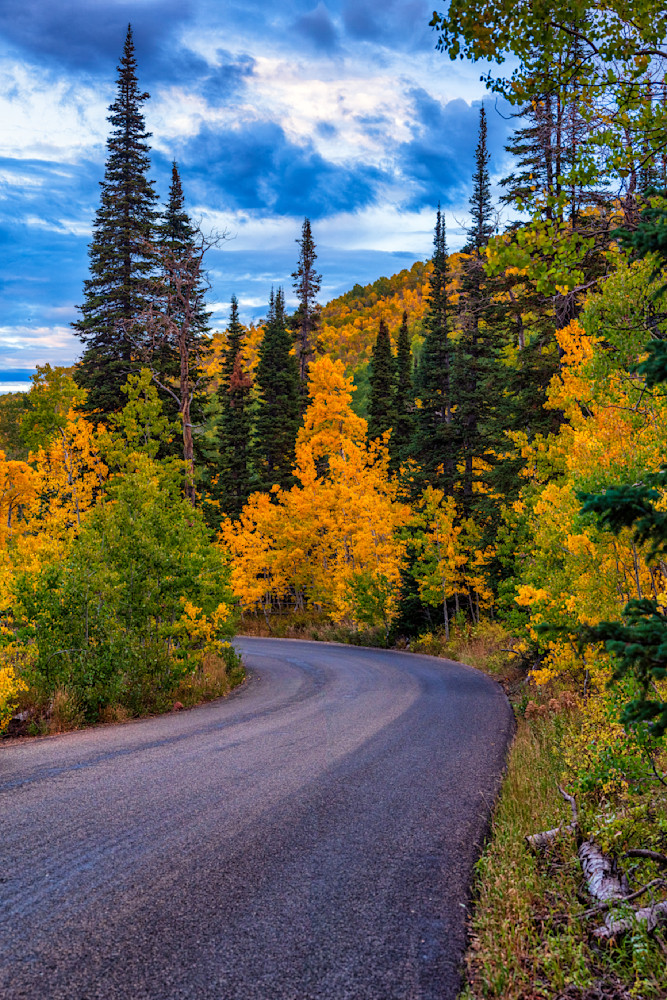 Dsc0470 Pano Copy Photography Art | Bryce Giesmann Fine Arts