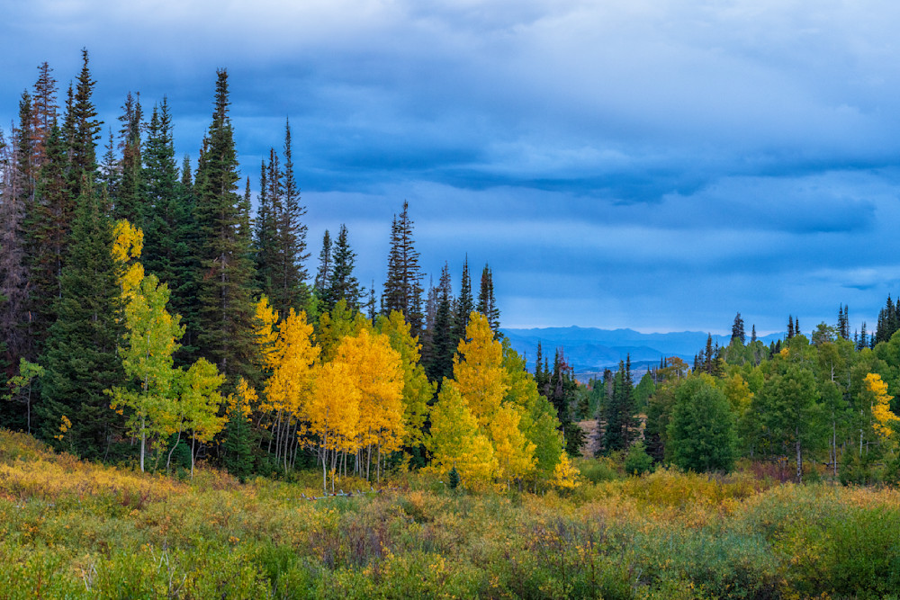 Dsc0551 Pano Copy Photography Art | Bryce Giesmann Fine Arts