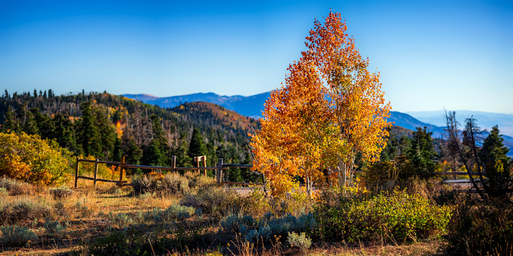 Dsc1851 Pano Copy 2 Photography Art | Bryce Giesmann Fine Arts