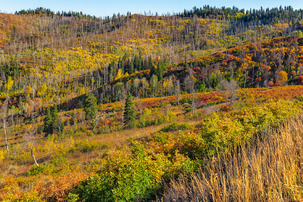 Dsc1711 Pano Copy 2 Photography Art | Bryce Giesmann Fine Arts