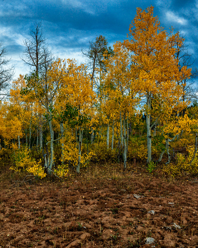 Dsc4151 Pano Copy 2 Photography Art | Bryce Giesmann Fine Arts