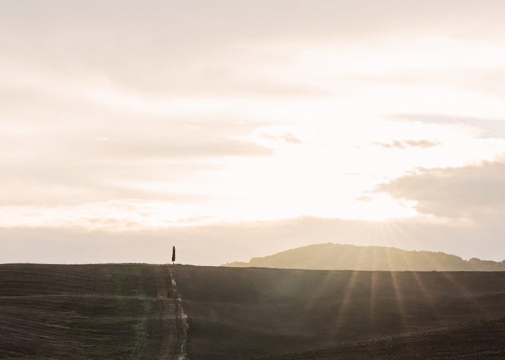 Standing In The Light Photography Art | The Gallery by Krissy Millar Photography