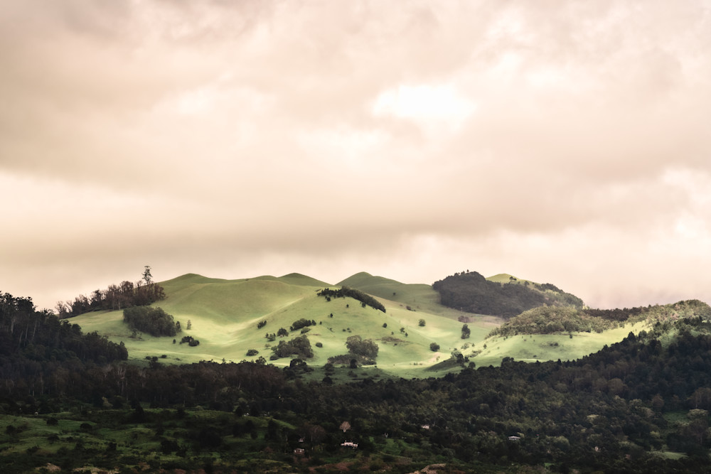 In The Light Photography Art | The Gallery by Krissy Millar Photography