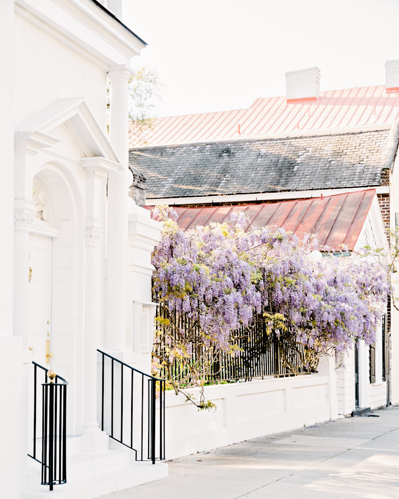 Abide Photography Art | The Gallery by Krissy Millar Photography