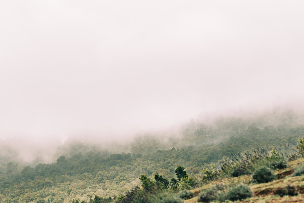 All Comfort Photography Art | The Gallery by Krissy Millar Photography