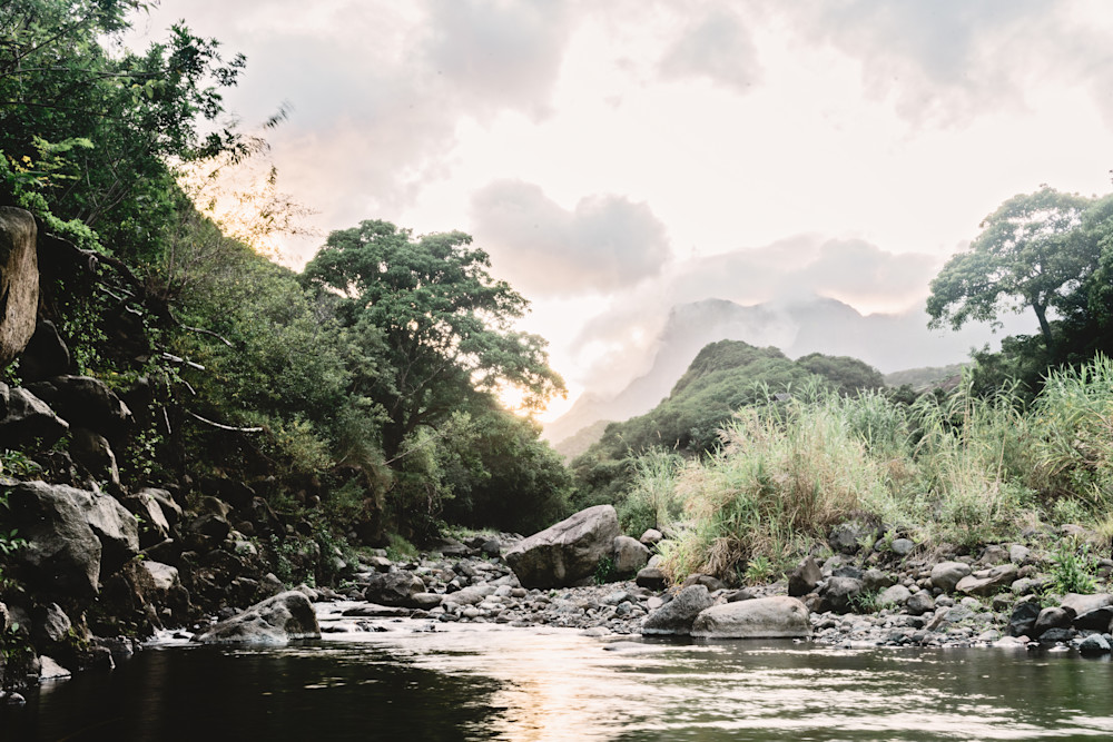 Steadied Soul Photography Art | The Gallery by Krissy Millar Photography