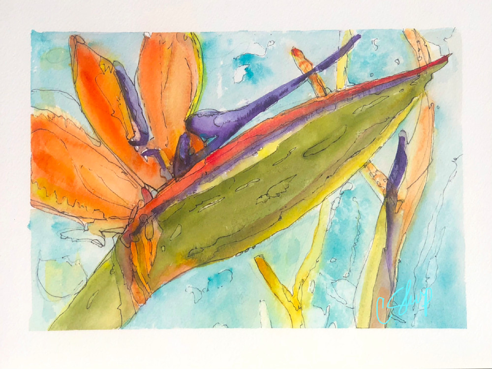 Bird Of Paradise Ii Art | csharp art