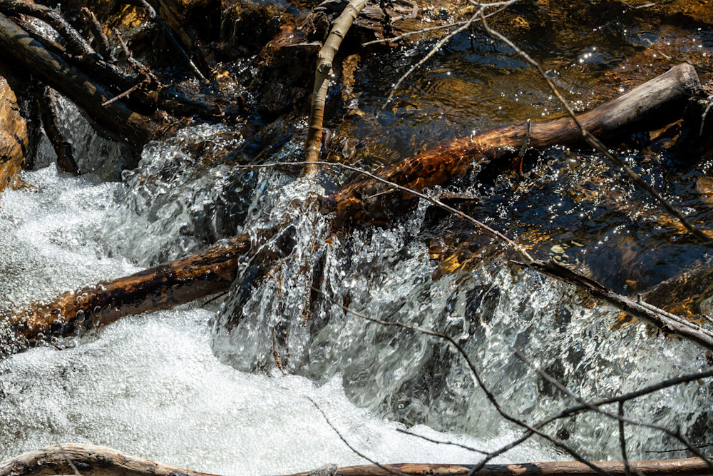 58 Photography Art | Lazy J Z Photography