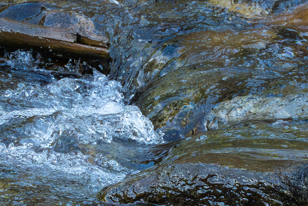 3 Photography Art | Lazy J Z Photography