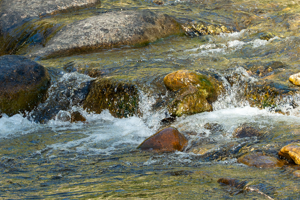 4 Photography Art | Lazy J Z Photography