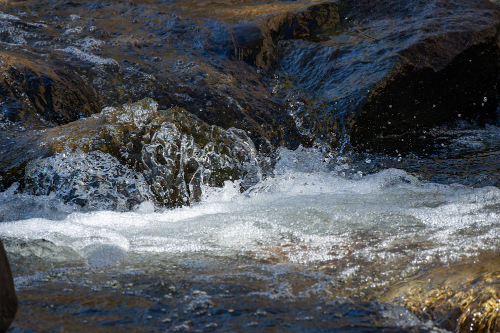 54 Photography Art | Lazy J Z Photography