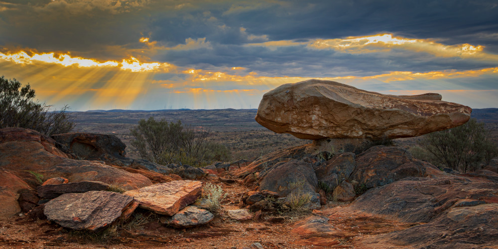 A Step Back Photography Art | Sunsets and Flowers Photography