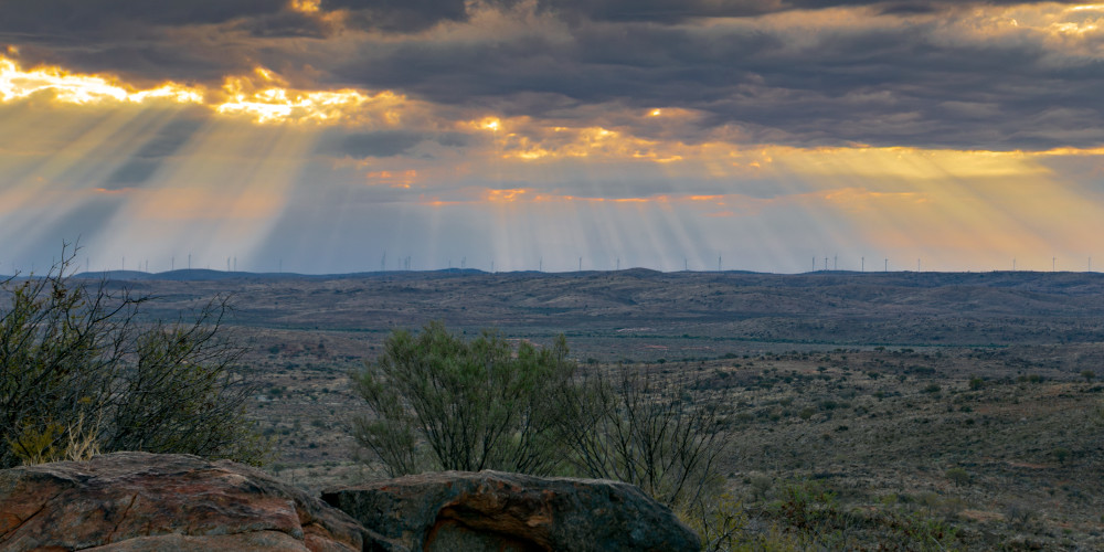 Tiny Giants Photography Art | Sunsets and Flowers Photography