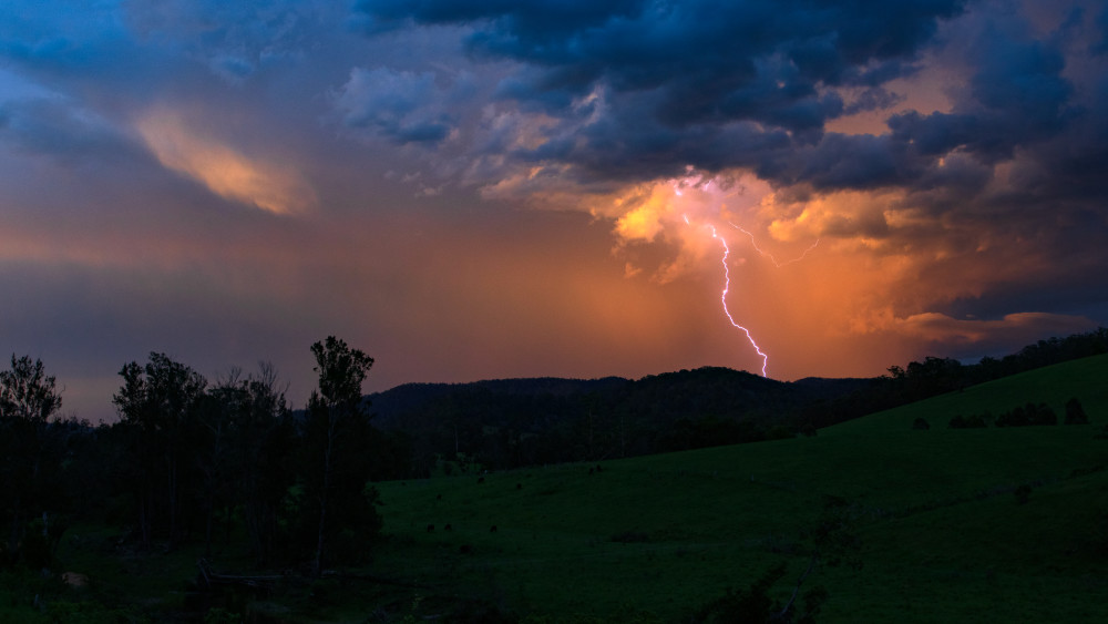 Christmas Lights Photography Art | Sunsets and Flowers Photography