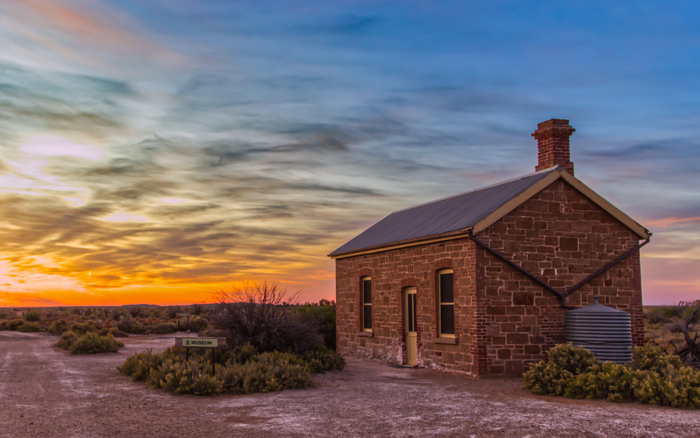 Still Standing Photography Art | Sunsets and Flowers Photography