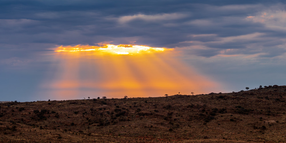 The Aperture Photography Art | Sunsets and Flowers Photography