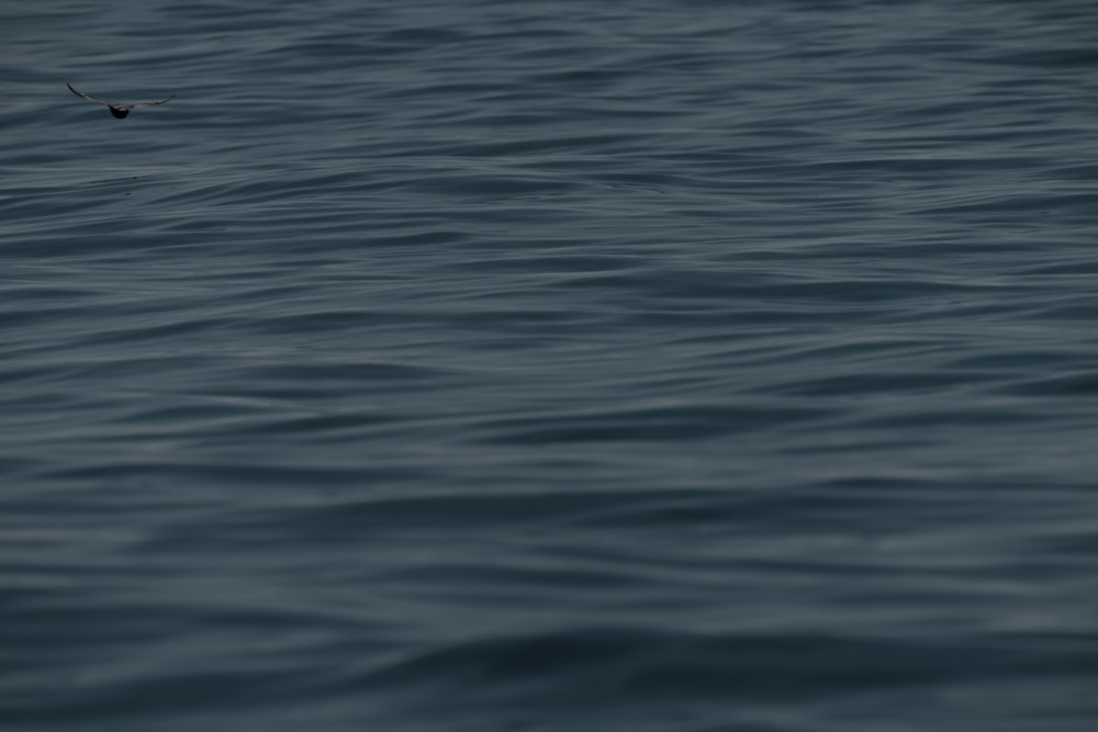 Edge Of Silence Photography Art | Marcus Johnson Photography