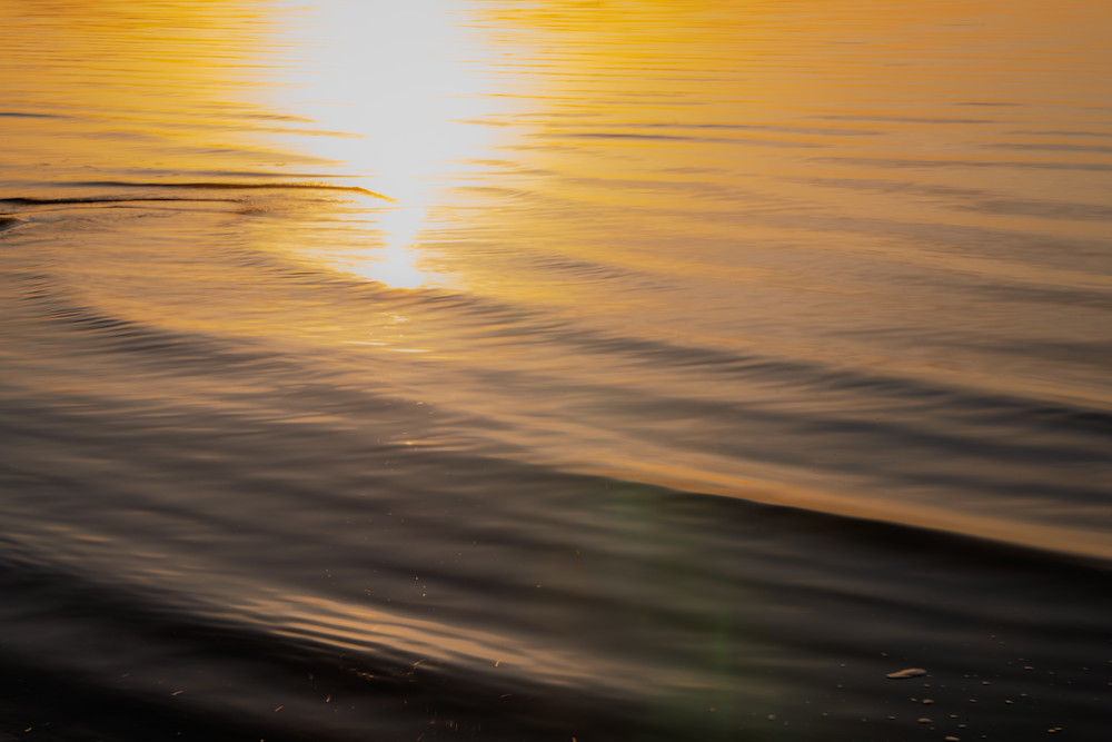 Golden Quietude Photography Art | Marcus Johnson Photography