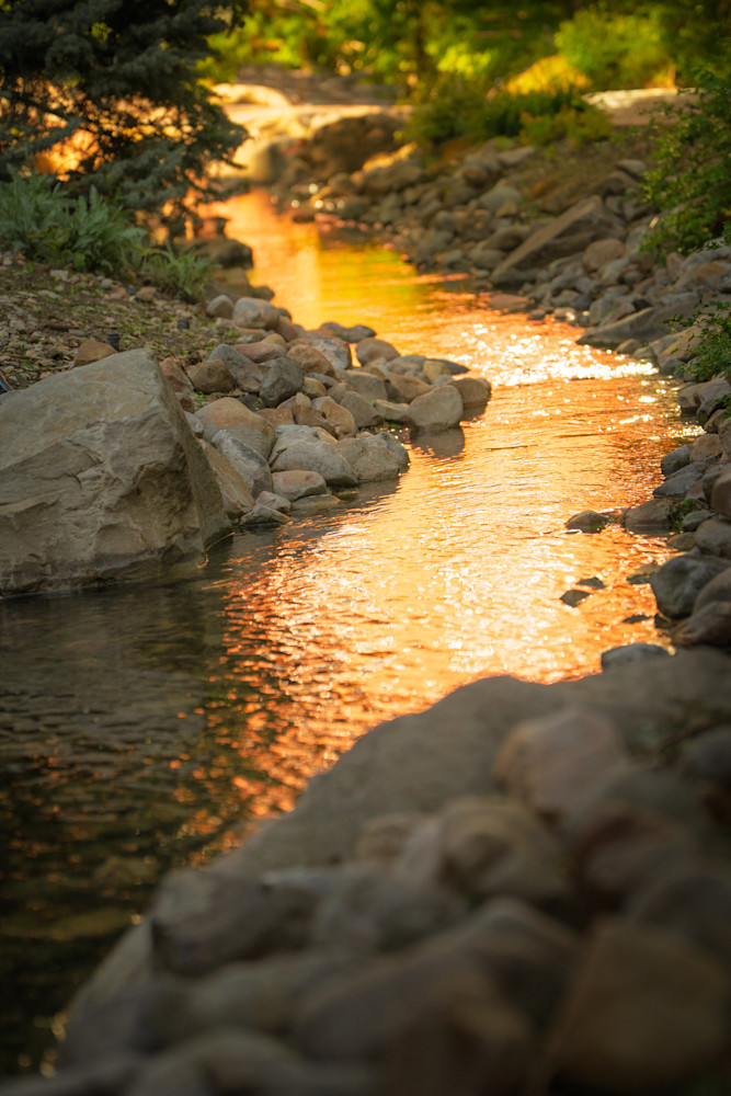 Golden Reflections Quiet Stream Photography Art | Marcus Johnson Photography