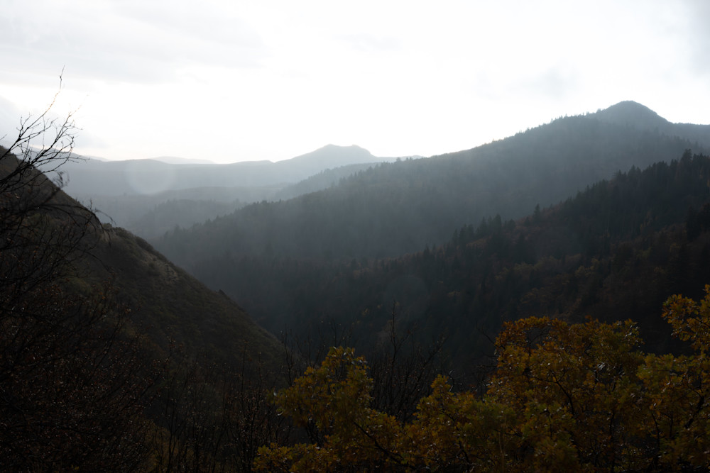 Mist's Quiet Passage Photography Art | Marcus Johnson Photography