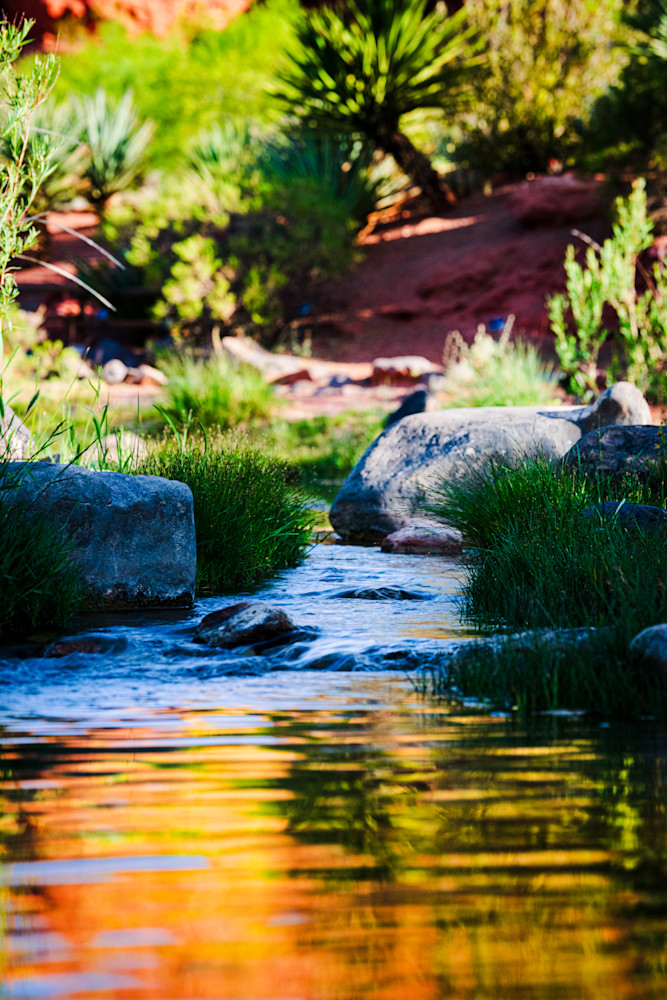 Stillness In Motion Photography Art | Marcus Johnson Photography