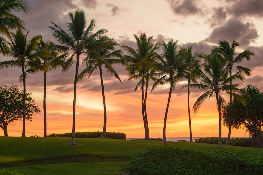 Whispers Of Serenety Photography Art | Marcus Johnson Photography