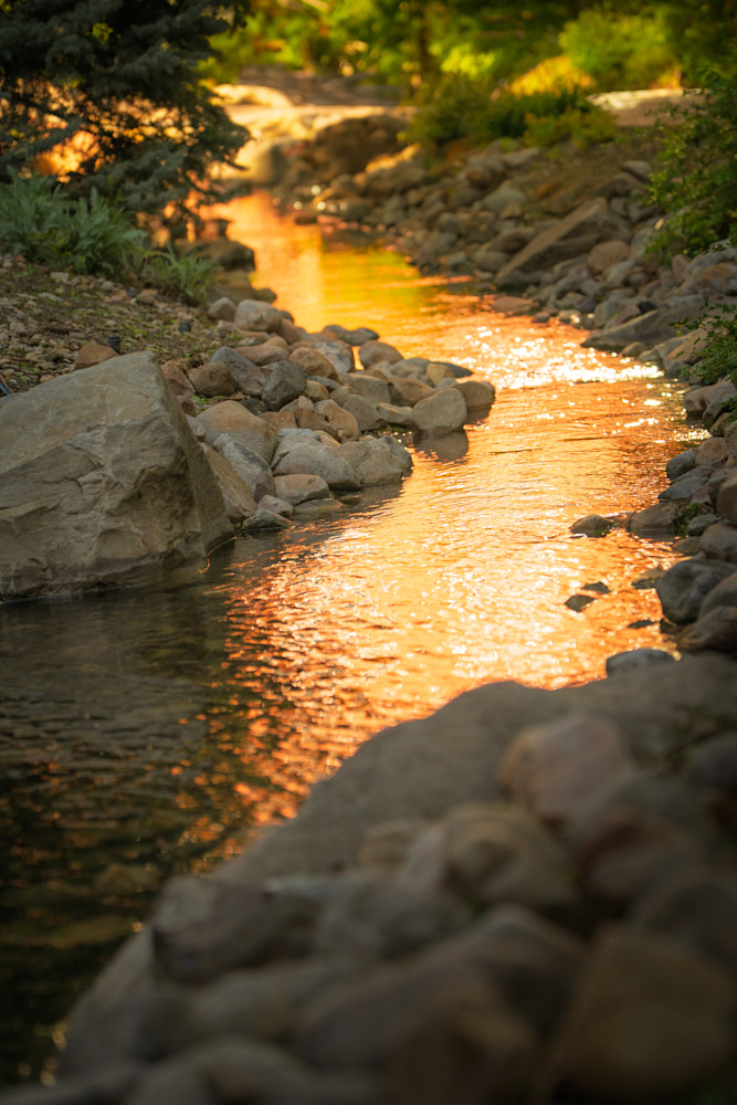 Whispers Of Stillness Photography Art | Marcus Johnson Photography