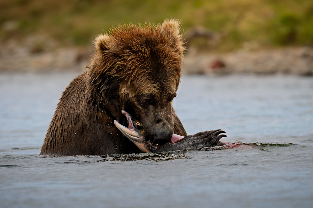 Nature's Balance Photography Art | Marcus Johnson Photography