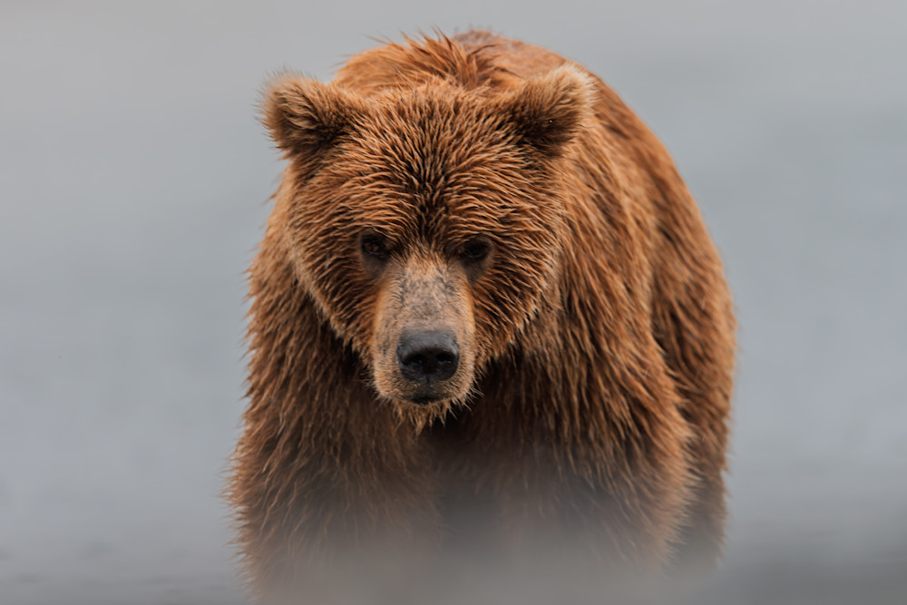 Presence Photography Art | Marcus Johnson Photography