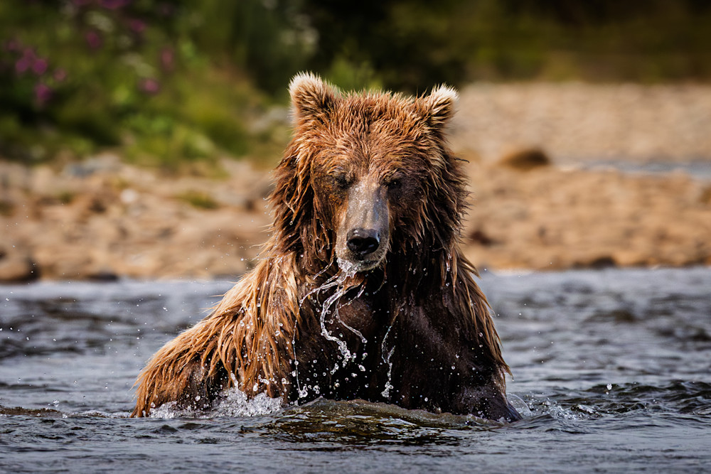 River's Embrace Photography Art | Marcus Johnson Photography