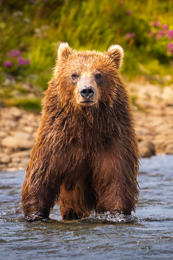 Still Waters Wild Heart Photography Art | Marcus Johnson Photography