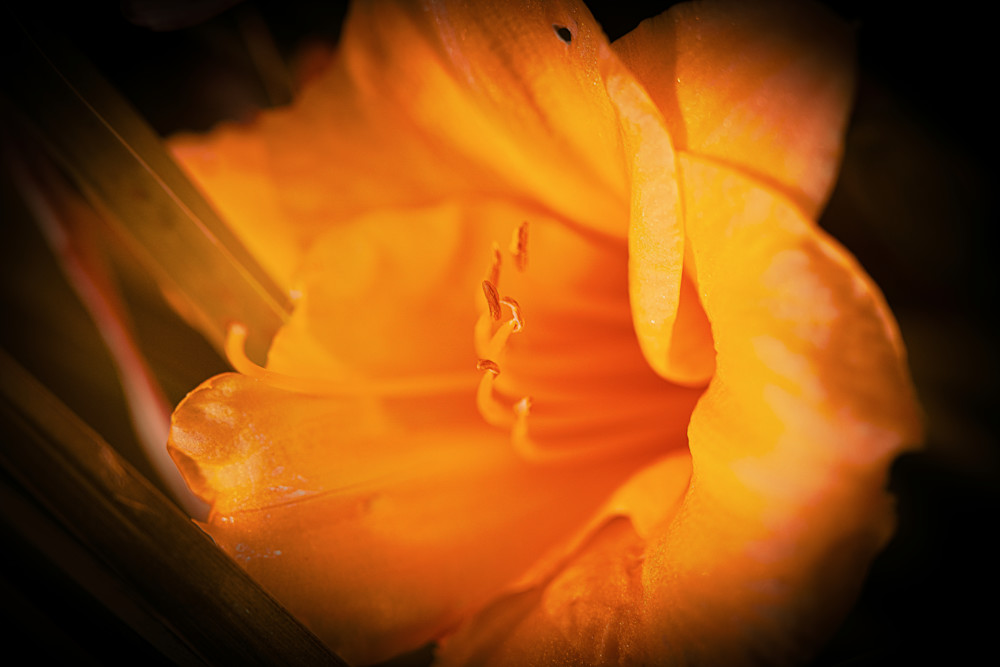 Ember Of Stillness Photography Art | Marcus Johnson Photography