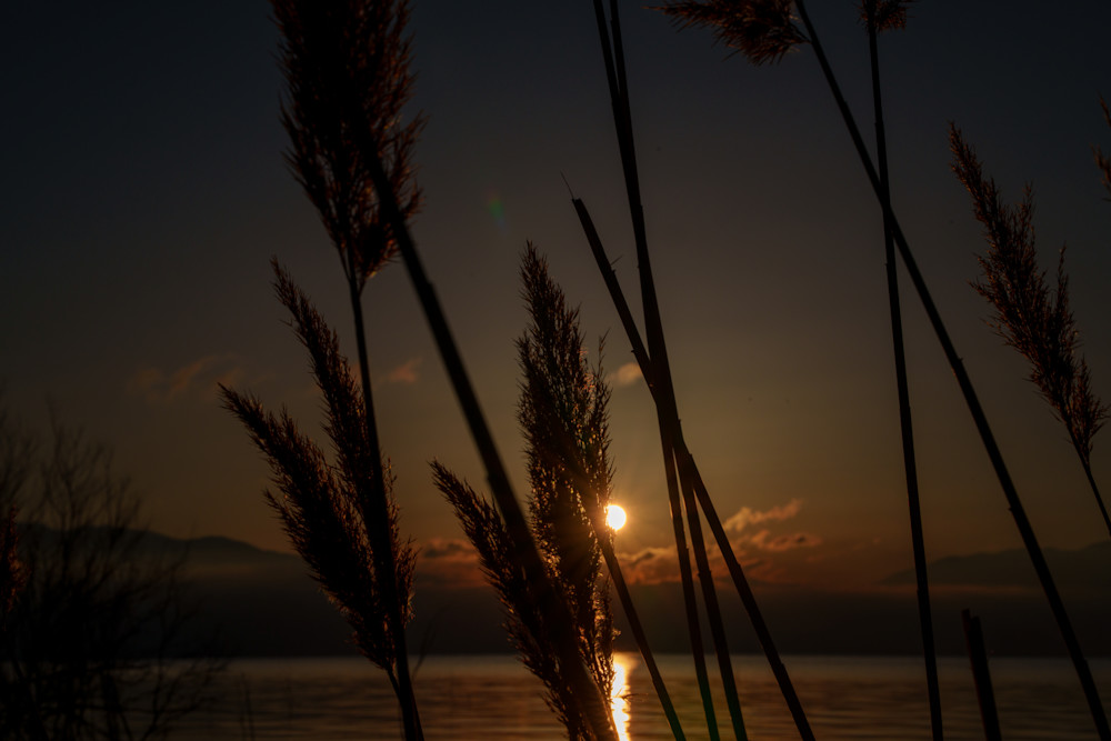 Whispers Of Light Photography Art | Marcus Johnson Photography